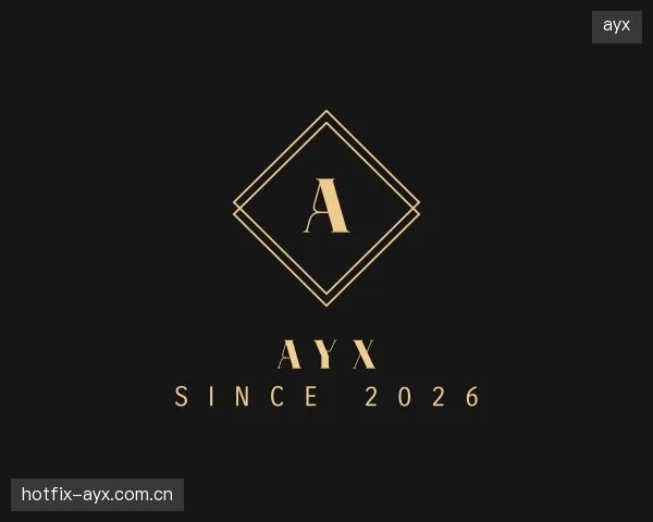 认识ayx官网